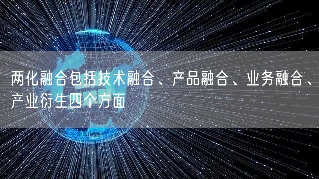 兩化融合包括技術融合、產品融合、業(yè)務融合、產業(yè)衍生四個方面(10)