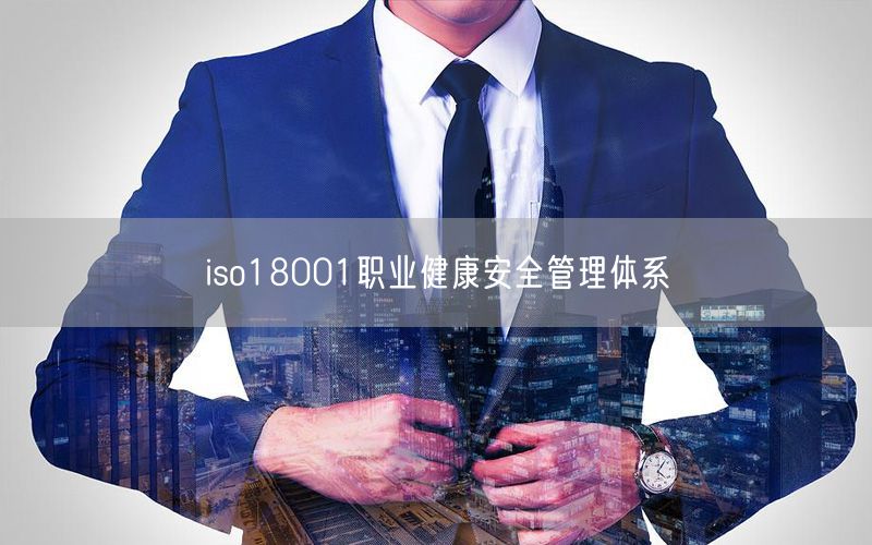 iso18001職業(yè)健康安全管理體系(30)