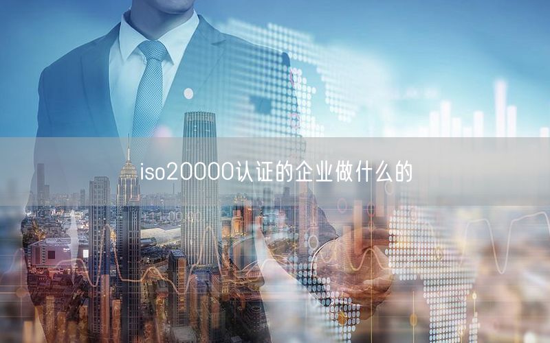 iso20000認(rèn)證的企業(yè)做什么的(30)