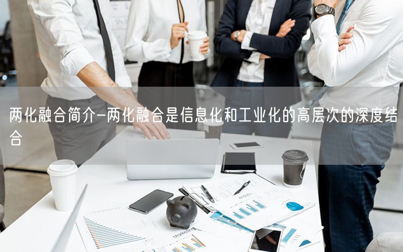 兩化融合簡(jiǎn)介-兩化融合是信息化和工業(yè)化的高層次的深度結(jié)合(3)