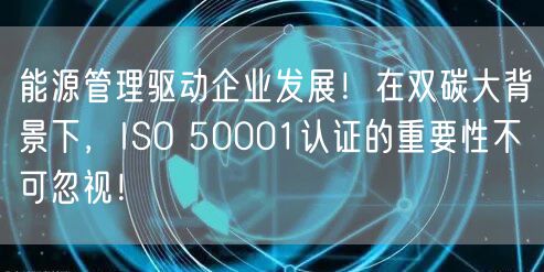 能源管理驅(qū)動企業(yè)發(fā)展！在雙碳大背景下，ISO 50001認(rèn)證的重要性不可忽視！(6)